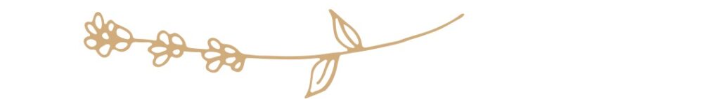 横向きに描かれた、シンプルで温かみのある茶色のお花。物語の始まりと終わりを知らせるライン装飾。